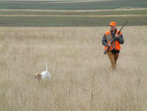 Striking Elhew Maggie