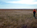 Prairie county