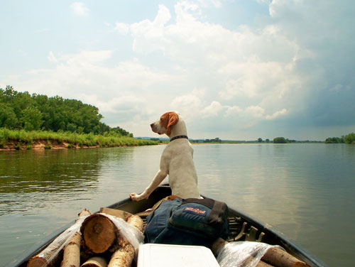 Rory Schneider's Anna