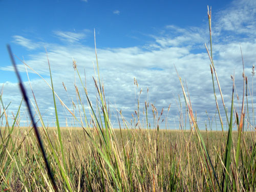 South Dakota prairie vista